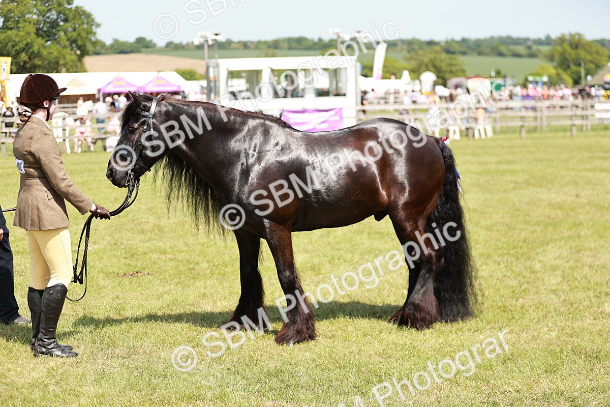 SBM_07167 - Class 26-30 - Mountain and Moorland Ridden