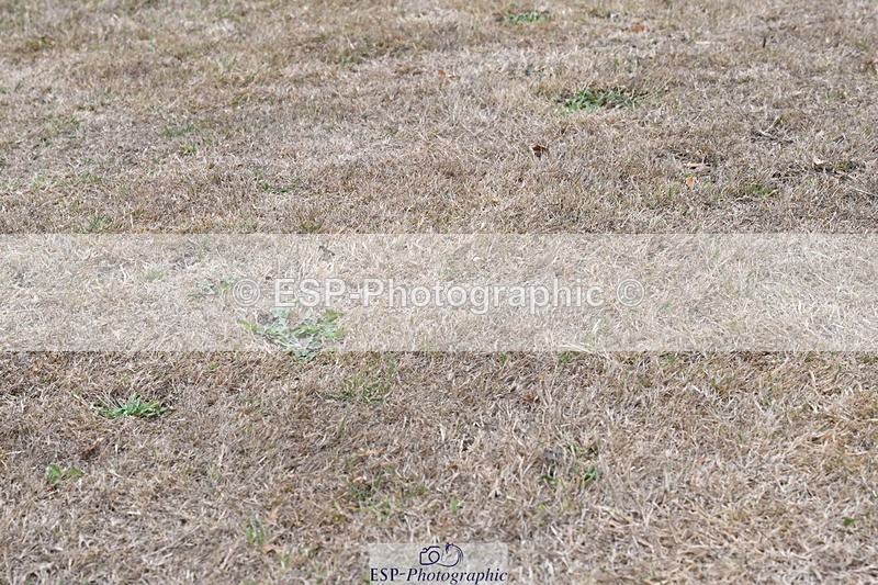 250820A-180025-12424 - Wednesday Presentations