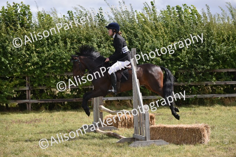 20250831-4022 - Class 12 - Working Hunter Pony 14.2hh and Under