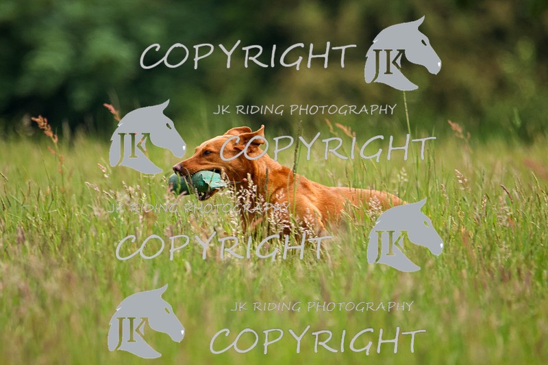 2R6A7516 - 21 Amy