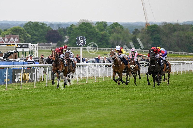 140524-Race 6-Flickering Halo-2686 - Race 6