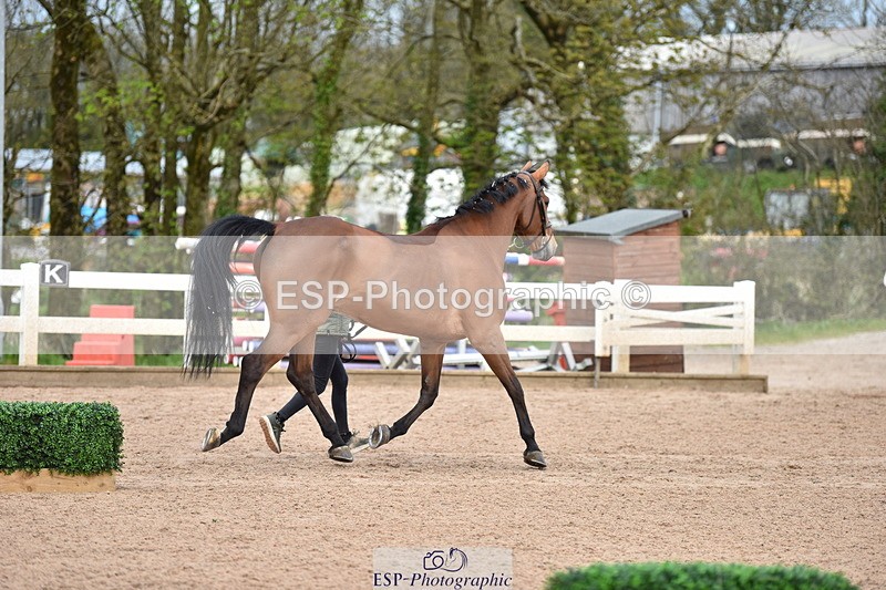 240417A-143406-00563 - 2pm to 3pm