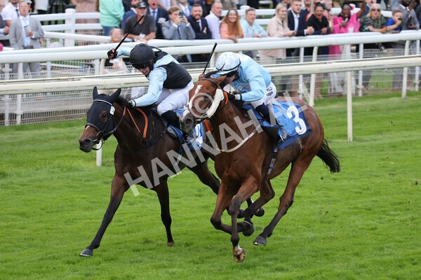 yr24092021r8-12 - Race 8 5.25pm William Hill Build Your Own Odds Apprentice Stakes