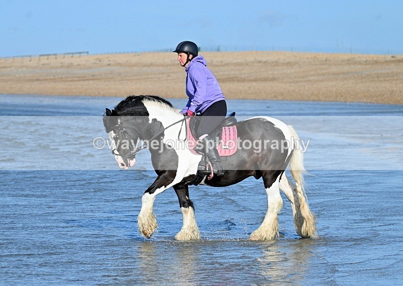 WJ7_2768 - Kellie & Churchill ... do Hayling Island 25-08-24
