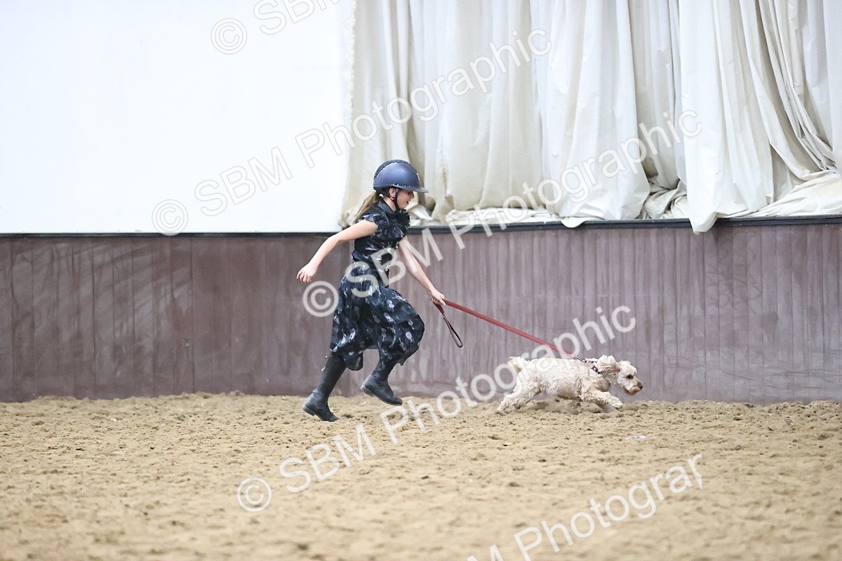 SBM_001229 - Class 3 - Horse & Hound 60cm