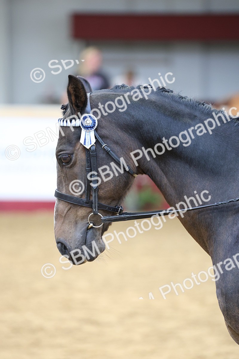 SBM_24096 - Class 905 - Supreme Final - Ridden Veteran