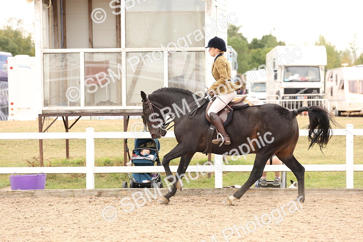 SBM_16499 - Class 212 - Ridden Hunter - Small