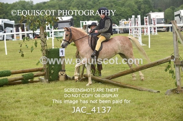 JAC_4137 - 40CM WORKING HUNTER