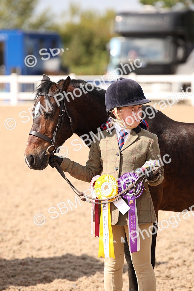 SBM_03453 - Class 18 Handsomest Gelding (IH or Ridden)