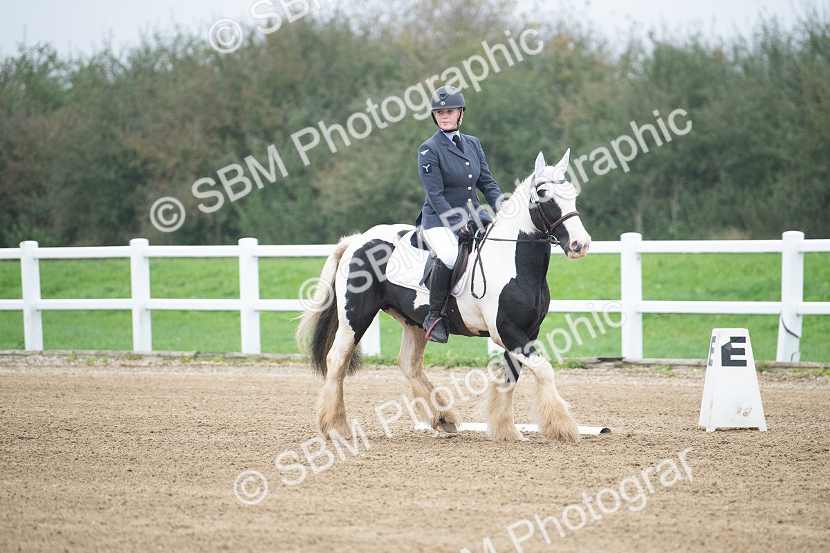 SBM_003378 - Introductory Test 3