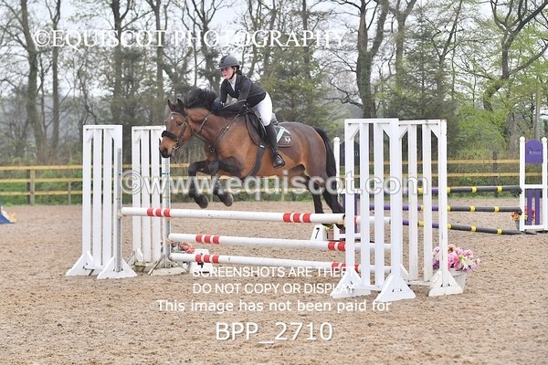 BPP_2710 - CLASS 4 Senior British Novice/ 90cm Open