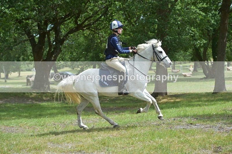 NGP_7894 - Time 11:28 to 11:38