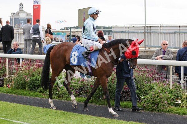 yr24072021r7-26 - Race 7 5.35pm The Sporting Life Fast Results Stakes