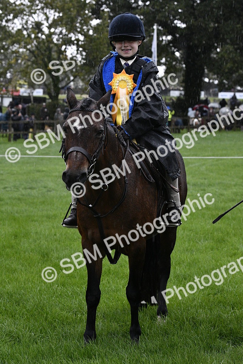 SBM_35579 - S30 - Nursery Stakes Working Hunter Pony
