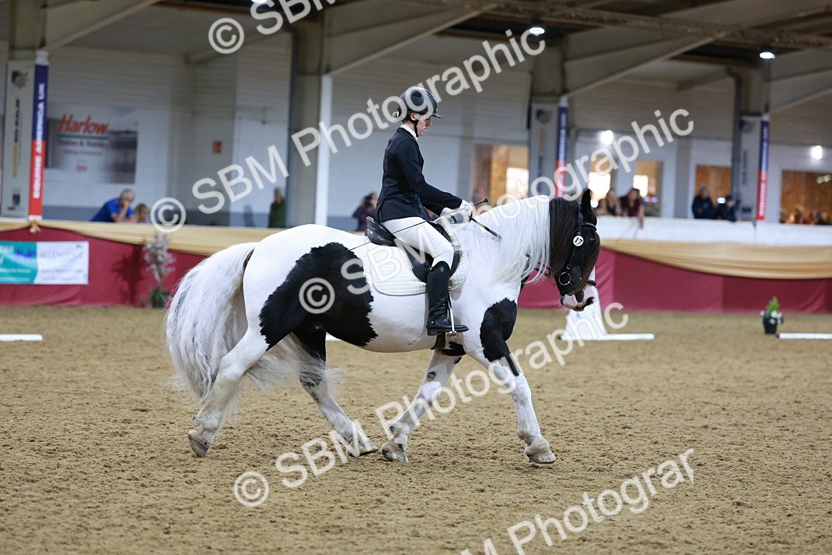 SBM_09955 - Class 61 - Dressage to Music