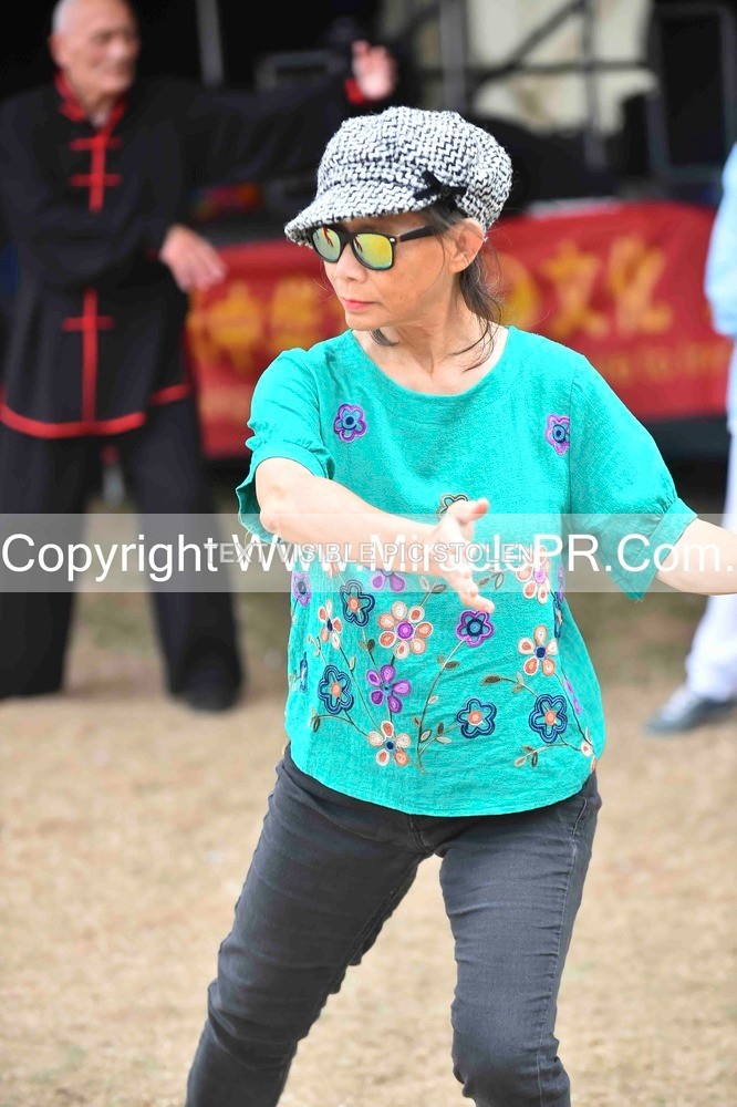 SH4_1481 - Tai Chi with Lisa Kay.