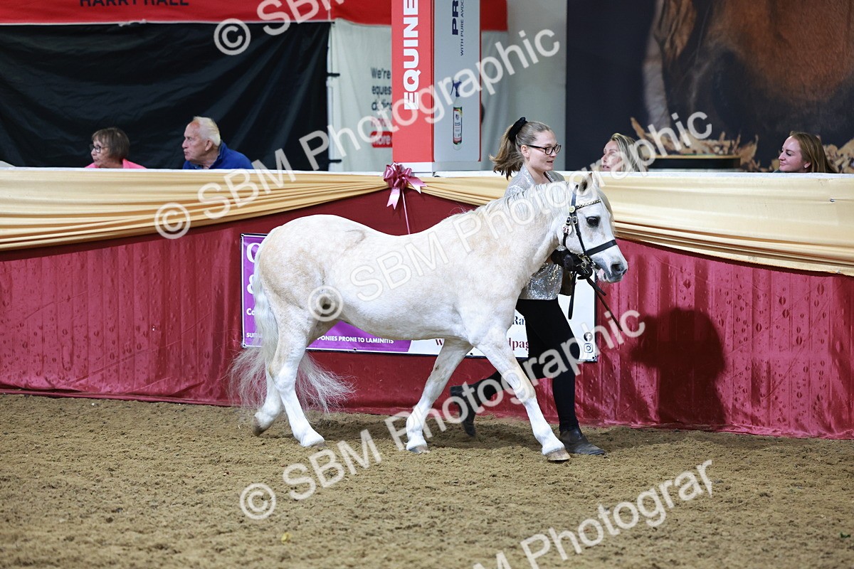 SBM_20413 - Class F - IH Small (148cm & Under)Champ