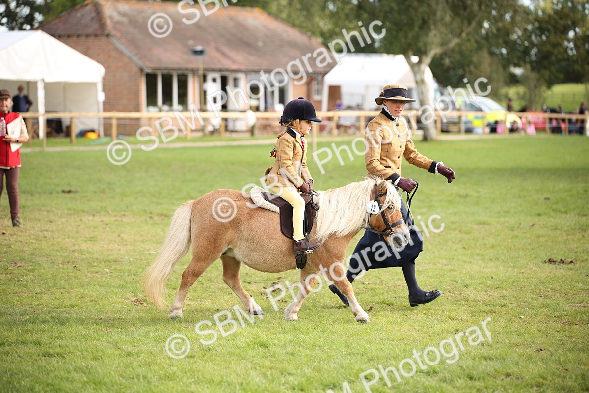 SBM_50149 - S26 - Young Veteran - Ridden