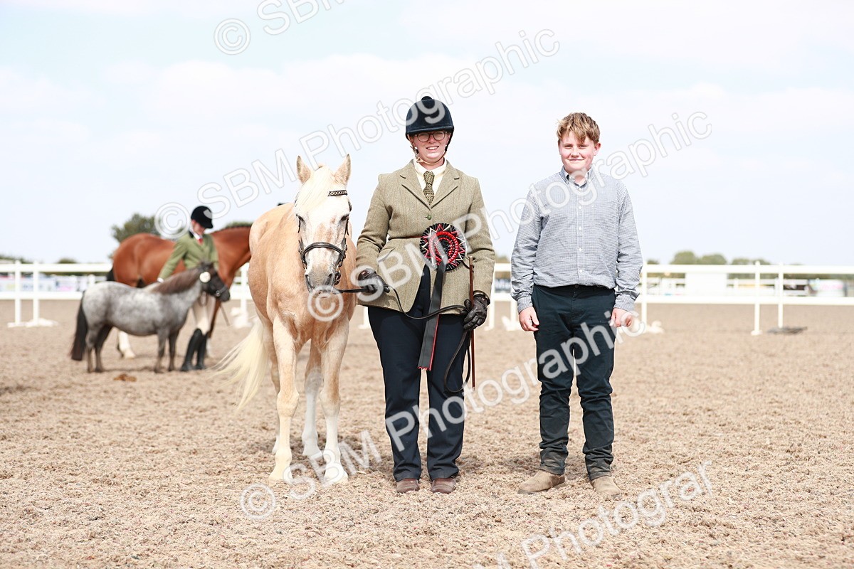SBM_13957 - Class 209 IH Veteran Pony