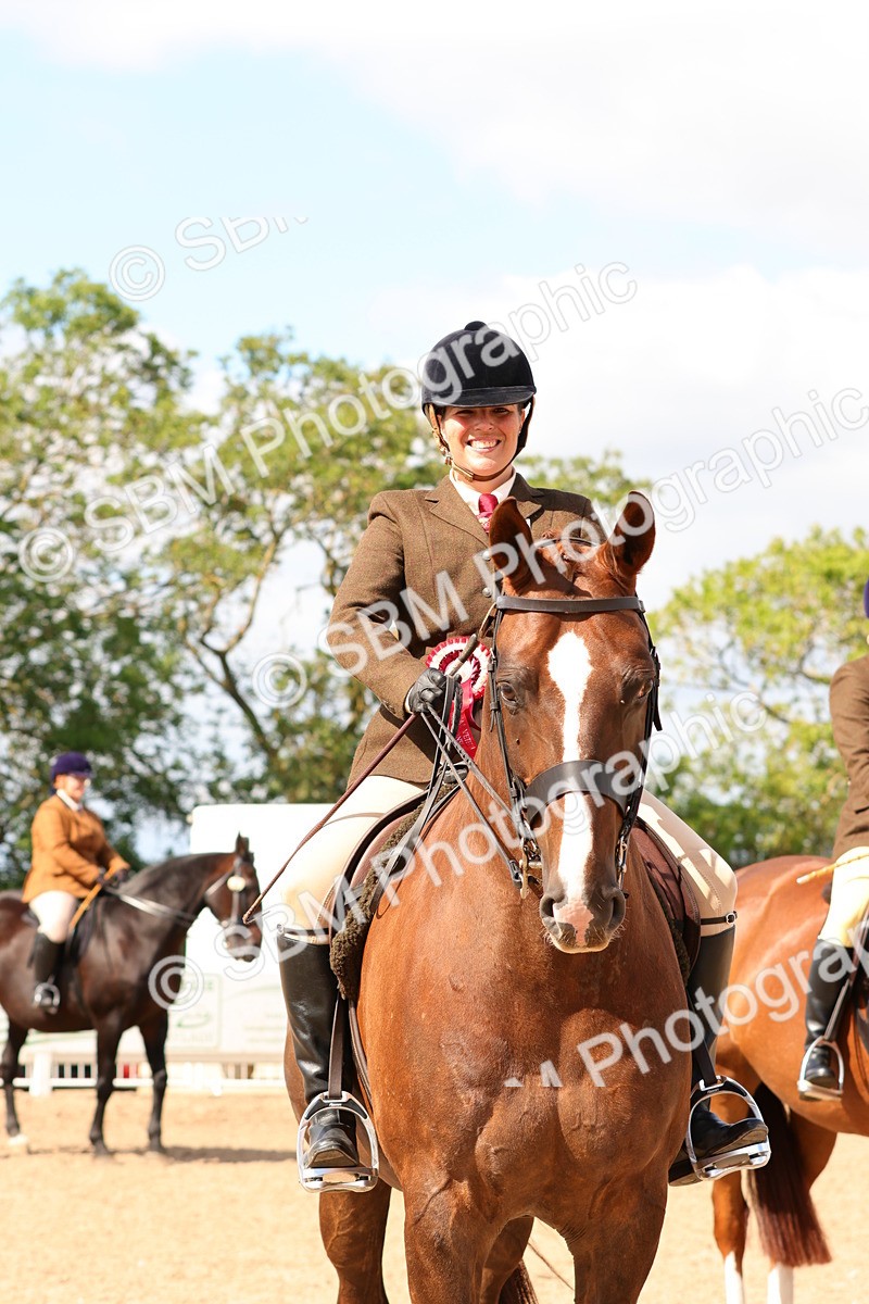 SBM_13570 - Class 212 - Ridden Hunter  - Large