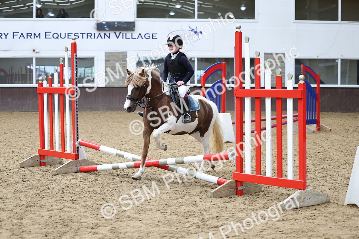 SBM_007424 - Class 2 - 50cm showjumping