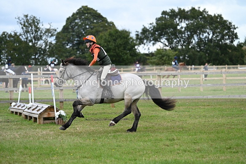 WJ7_8717 - 60cm Time 12:31 to 12:50