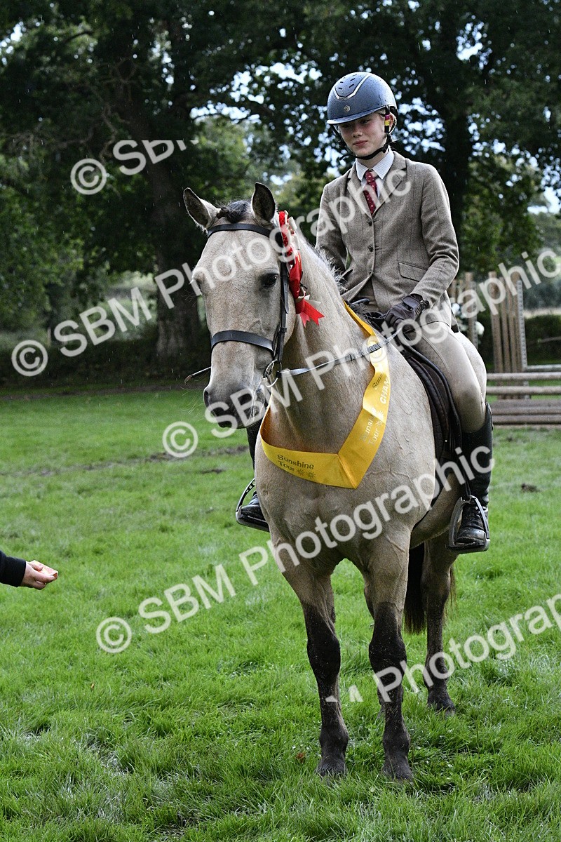 SBM_53350 - S14 - Riding Club Horse