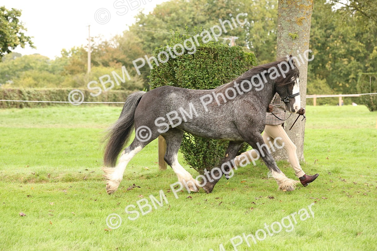 SBM_59256 - S57 - Traditional Cob In Hand