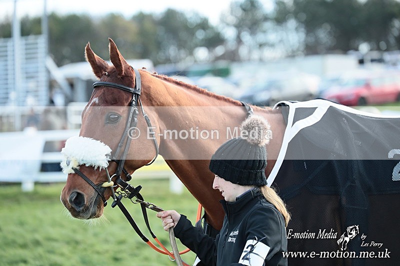 PtP 141225  1486 - New Forest Hounds PtP Larkhill 14/12/25