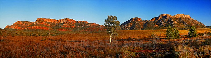 Wilpena Pound Panorama. - FLINDERS RANGES PHOTOS