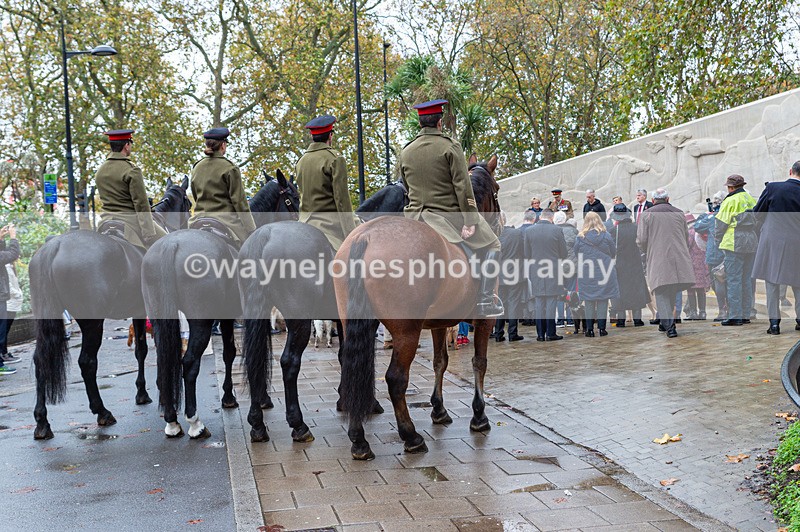 NGP_7128 - Animals In War Memorial - 10-11-23