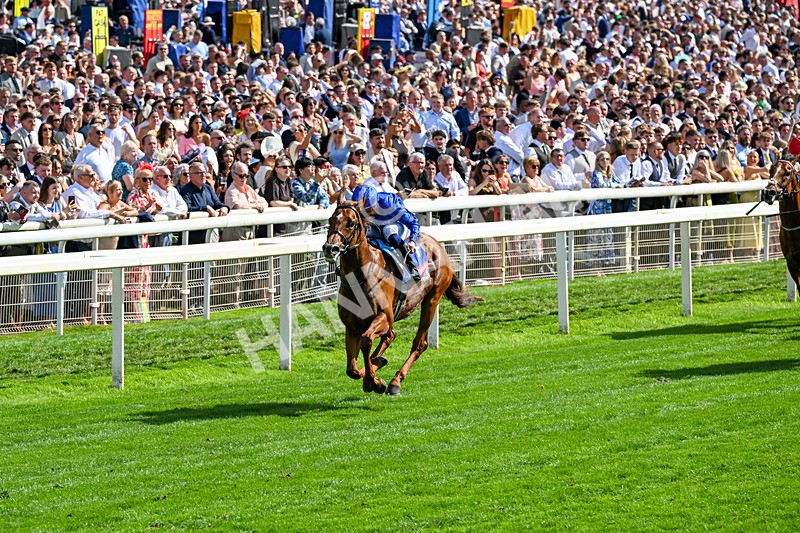 220826-Race 3-Notable Speech-0350 - Race 3 15.00pm Sky Bet City Of York Stakes