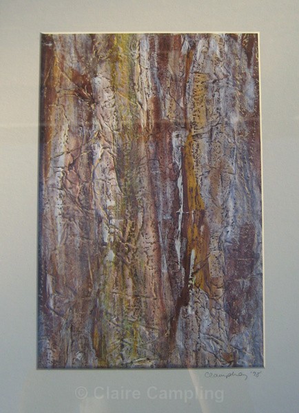 Bark study (1999) - Organic Series