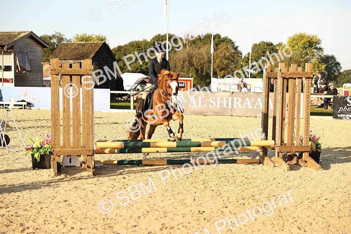 SBM_57265 - J11 - Junior Pony 50cm Championship