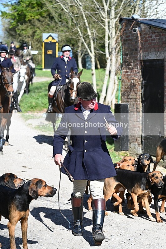 WJ7_9678 - Home for hunt tea !