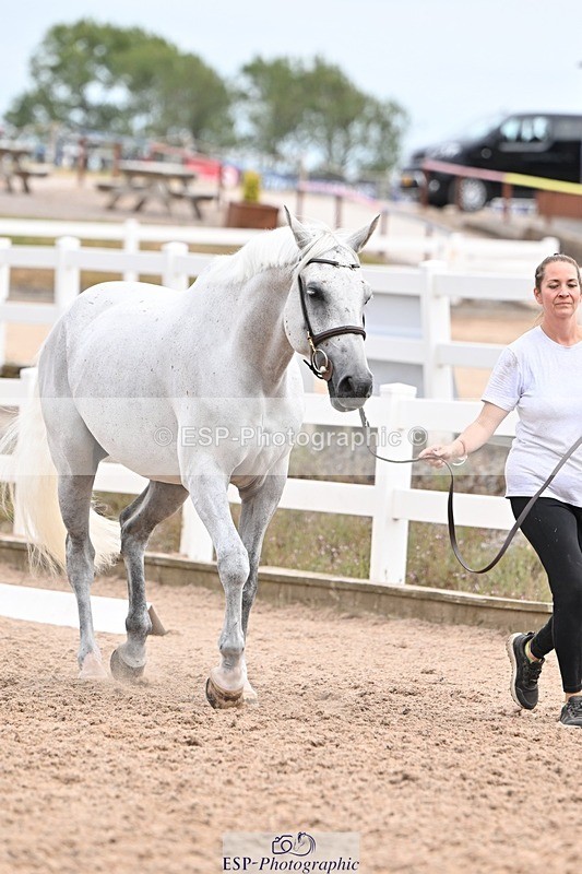 250716-152258-01896 - Trot Up 2.30 to 3.30