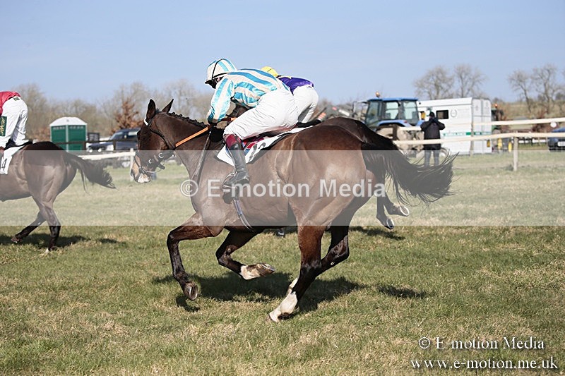 PtP 240218 256 - Vine & Craven Hunt Point-to-Point Barbury racecourse 24/02/18