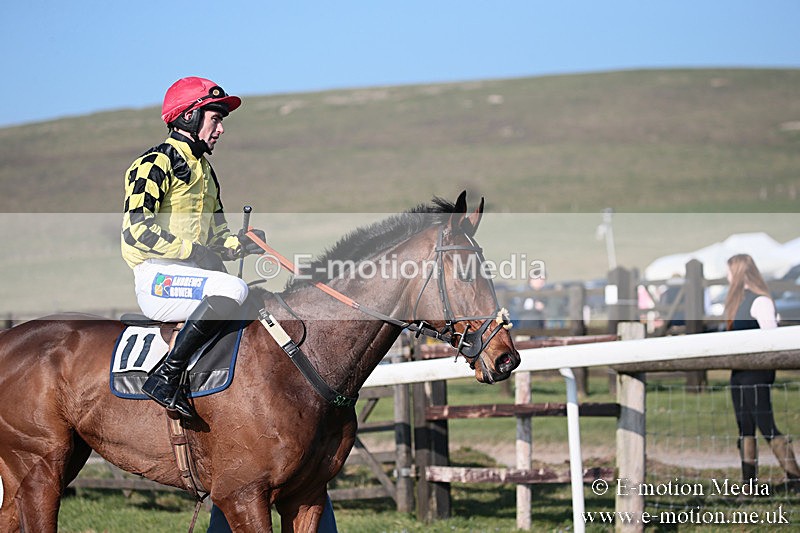 PtP 230219 364 - Vine & Craven Point-To-Point - Barbury 23/02/19
