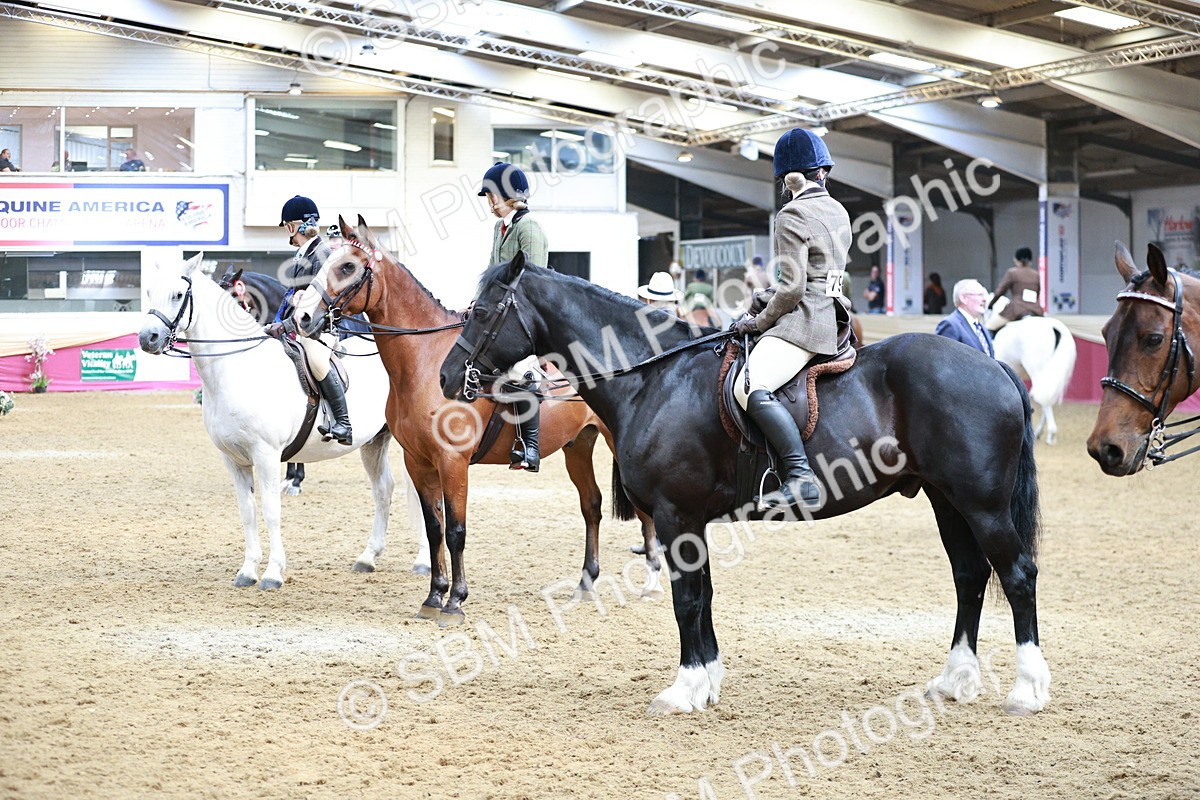 SBM_03714 - Class 6A Area Ridden Pre-Vet