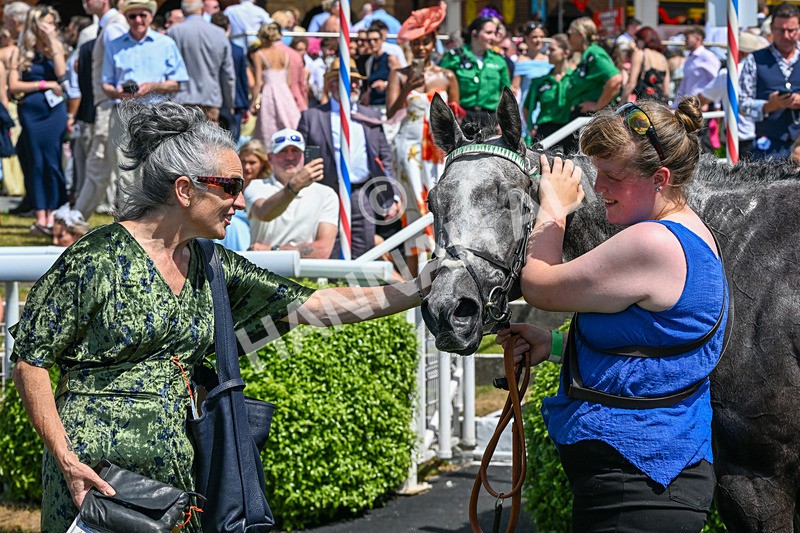 270626-Race 3-Naanas Shadow-4659 - Race 3 14.25pm Al Basti Equiworld Dubai Dash Handicap