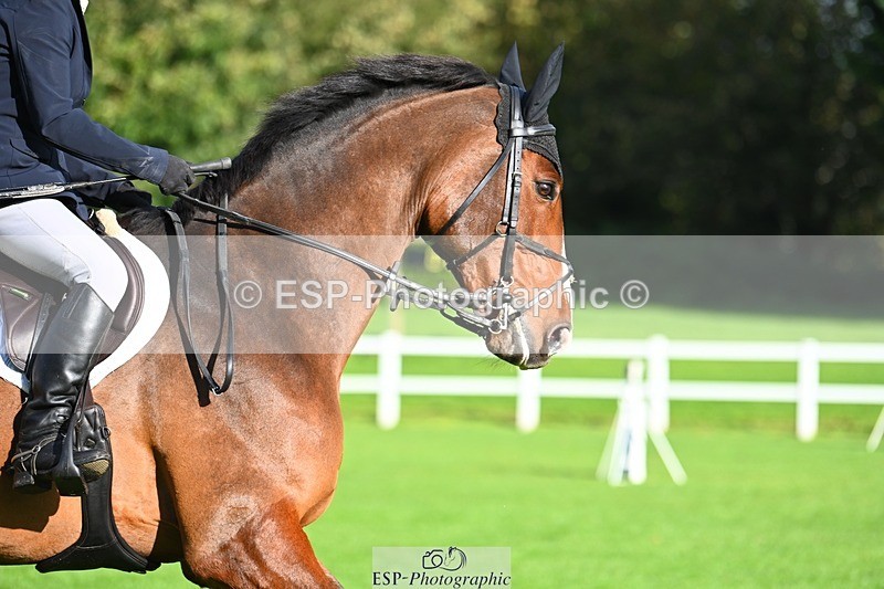 231020-105802-06288 - 105-BRIGHT.KNIGHT.III-Janet.Clarke-SJ