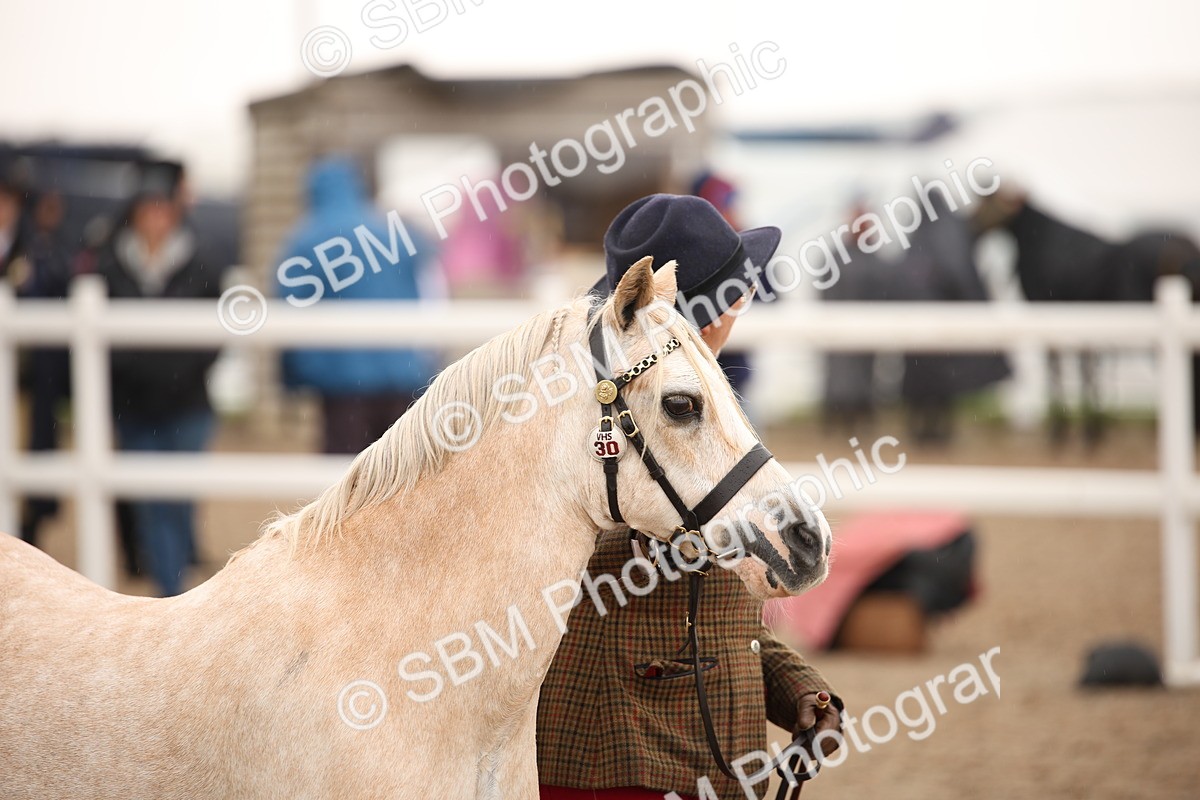SBM_20721 - Class 705 - IH  Combination 65+