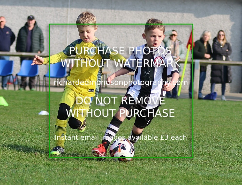 533A8977 - Craven Wanderers Under 7's (21/3/26)
