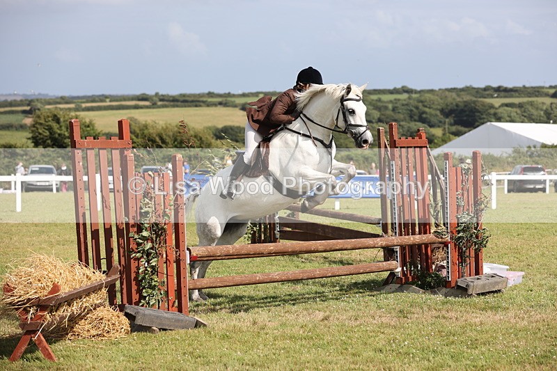 JPP_2576 - Class 20: Working Hunter 70cm