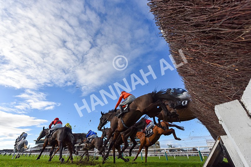 141224-Race 3-Coco Mademoiselle-9344 - Race 3