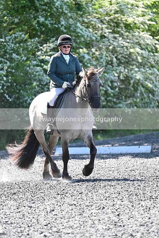 WJ7_9369 - Time 12:10 to 12:21