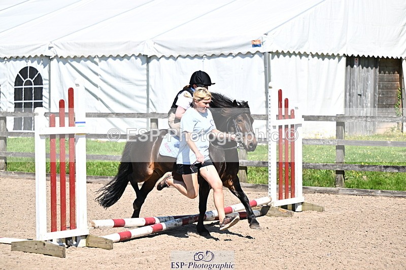 240729B-113322-02431 - Showjumping Competition