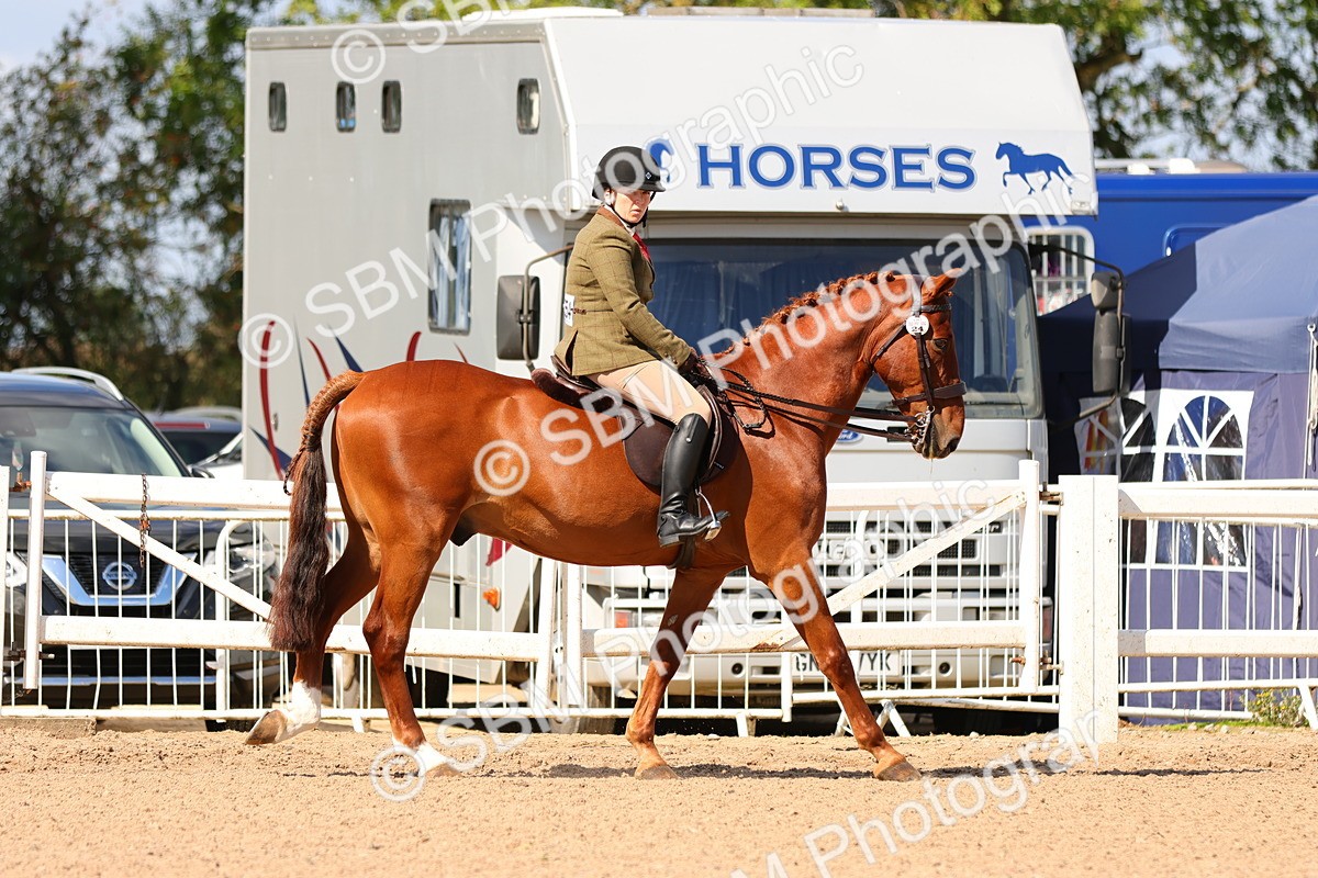 SBM_13154 - Class 211 - Ridden Hunter - Small