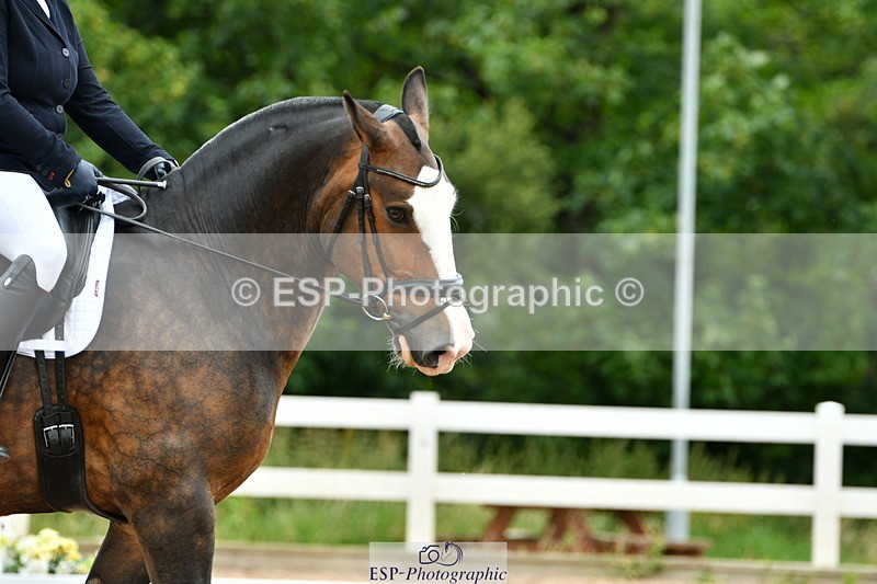 230630A-100840-00025 - Cls 6 Music Novice