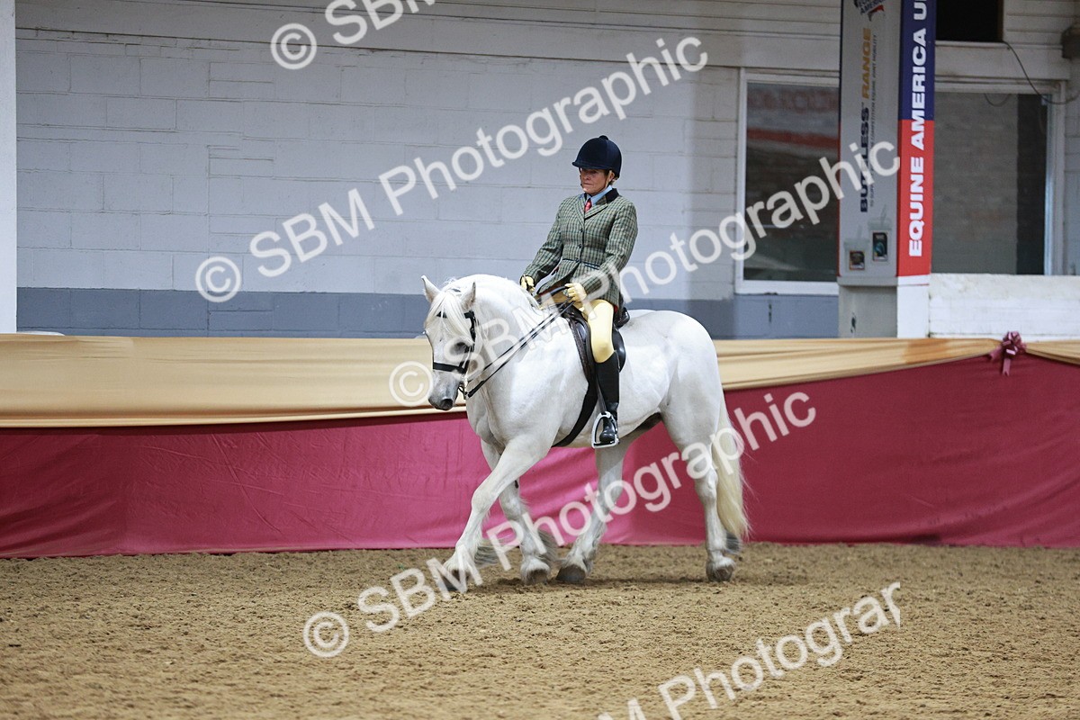 SBM_08247 - Class 11R - Regional Ridden Veteran